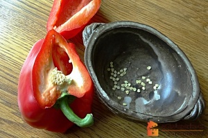 Papriky semena